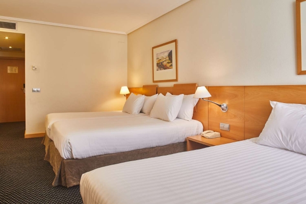 Hotel Silken Alfonso X (Ciudad Real)